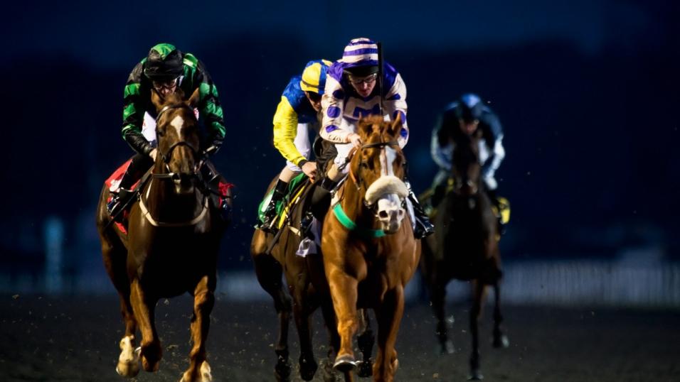 Horse Racing Tips Timeform’s three best bets at Kempton on Wednesday